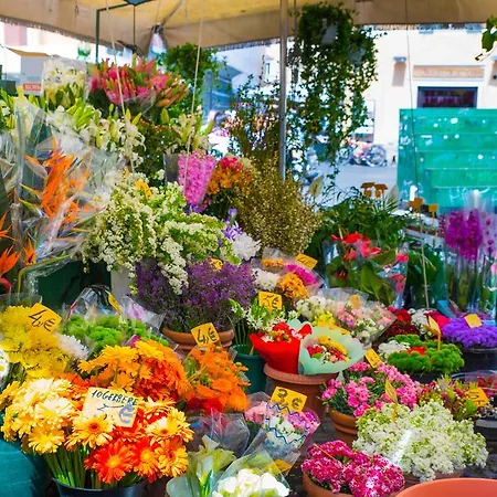 Campo De Fiori דירה רומא